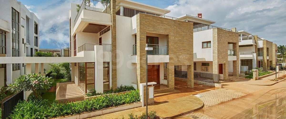 Prestige White Meadows